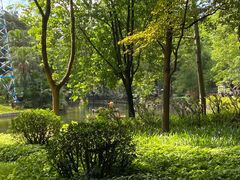 -晓港公园