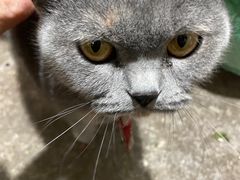 -糕材生•糕点•生日蛋糕(解放路店)