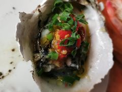 招牌炭烧生蚝-冯姐生蚝(迎宾广场店)