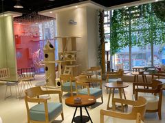 -藏猫猫咖啡主题馆(中央大道店)