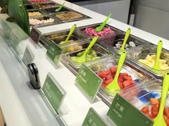 -Salud撒露欧洲冻酸奶(蓝色港湾店)