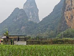 -明仕田园