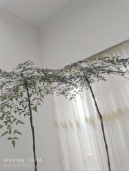-HEYAN荷妍专业脱毛连锁机构