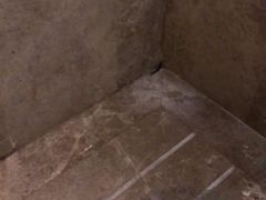 -黄山香茗国际酒店