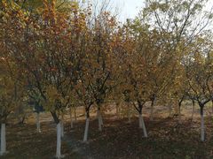 -白塘生态植物园