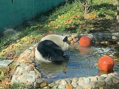 -临沂动植物园