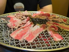 -樱嘢·炭火烧肉(惠南店)