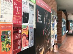 -香港大学