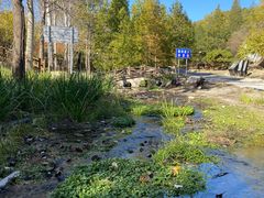 -白水寺森林公园