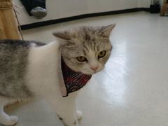 -共舞时光猫咖·狗咖(新街口店)