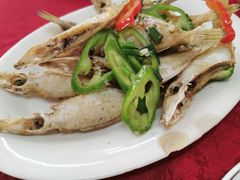 -蛇口康乐快餐鱼仔档(翠苑小区店)