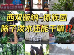 -西双版纳傣族园