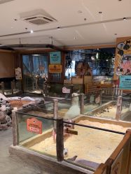 -造物庄园 萌宠纪(苏州湾歌林公园店)