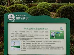 -尚贤河湿地