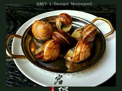 -金蜗牛