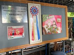 -柴犬高等学院·狗咖·柴犬售卖·宠物训练