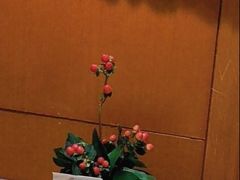 -A One Kitchen·南京精菜馆(德基广场店)