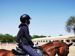 -北京群众马术培训基地