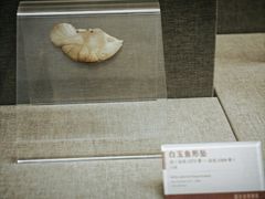 -平原博物院