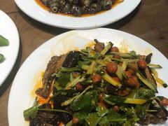-杨氏青龙虾·羊蝎子(金盛路总店)