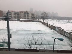 -榕洋金城大厦