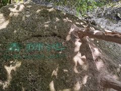 -黄山翡翠谷景区