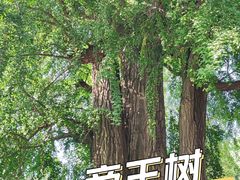 -潭柘寺景区