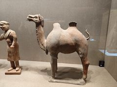 -敦煌市博物馆
