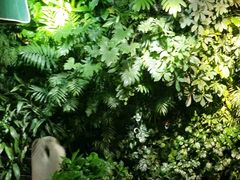 -肉串汪(望京店)