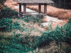 -那考河湿地公园