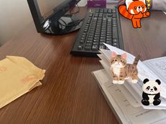 -上海市中医医院(石门路院区)