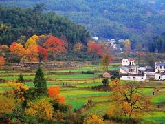 -塔川景区