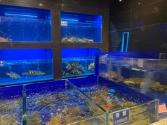-金时代顺风大酒店(临港百联店)