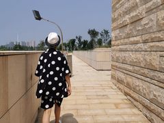 -盘龙城国家考古遗址公园