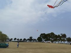 -漕湖湿地公园