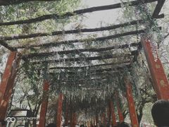 -雪山彩虹谷景区