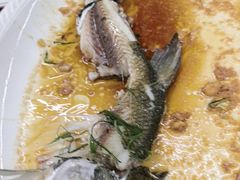 -八仔大富楼·河鲜(西江店)