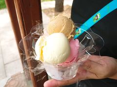 -南戴河国际娱乐中心