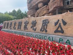 -嘉荫恐龙国家地质公园