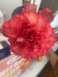 -Dr.林醫生产后修复·配方产康店(南京大厂店)