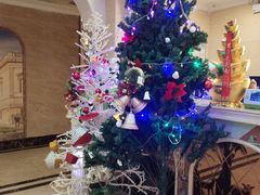 -圣地雅歌KTV(市府广场店)