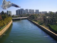 -五甲塘生态湿地公园