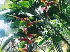 -四季酒店下午茶