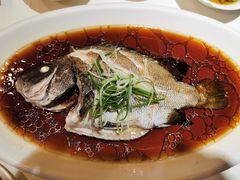 清蒸石斑鱼-后宫私房菜(汇客美食娱乐广场店)