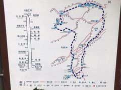 -铁山坪森林公园