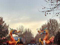 -南宫五洲植物乐园