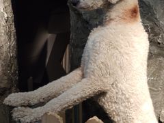 -MOJO密室逃脱(中街旗舰店)