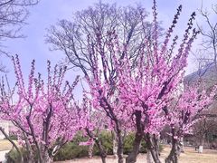 -北京明城墙遗址公园