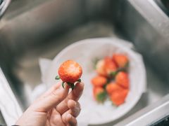 -尚田草莓姑娘白草莓采摘基地