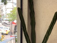 -北芒BEIMO COFFEE(五台山店)